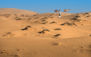 Бело-золотой Оман в объективе трэвел-фотографа