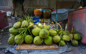 Фотофакт: как выглядит традиционная кокосовая ферма в Таиланде