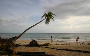 Доминикана после урагана “Мария”: лететь на отдых уже можно? (фото)