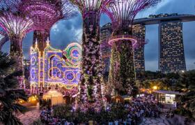 Романтика в Сингапуре