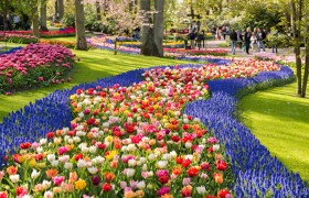 Цветочный уикенд: Амстердам – Делфт* – Гаага* – Вернигероде – Гамбург