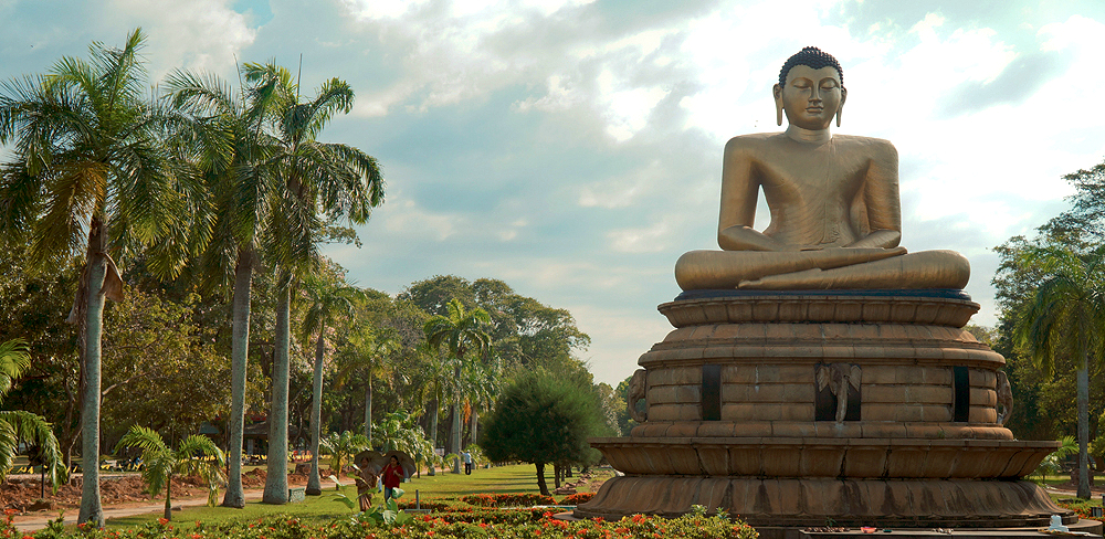 Удивительная Азия. Первые шаги по Шри-Ланке