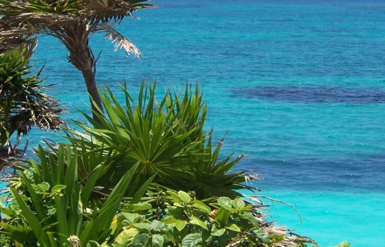 Nissi Park Hotel