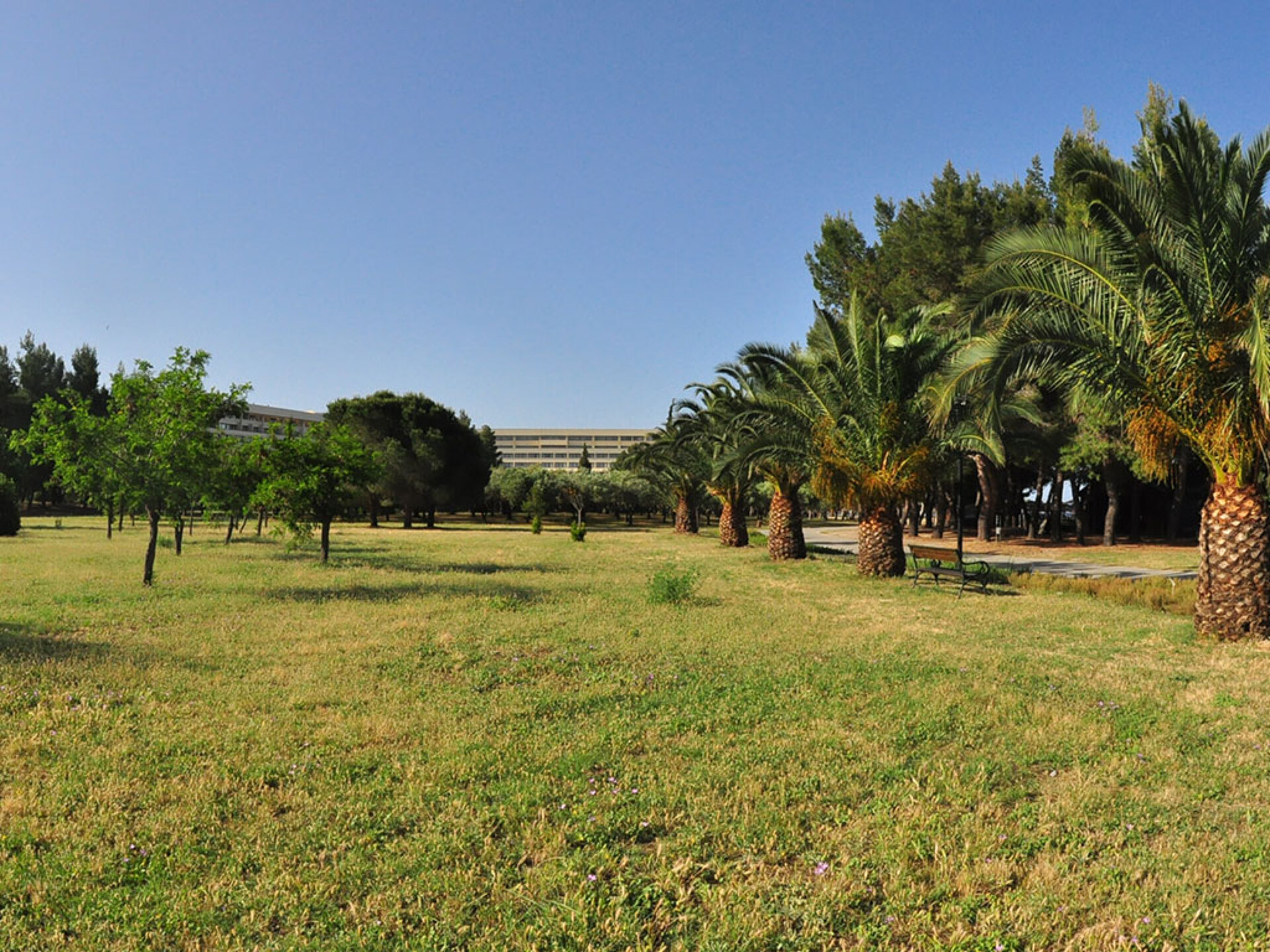 Porto Carras Sithonia 5* 6