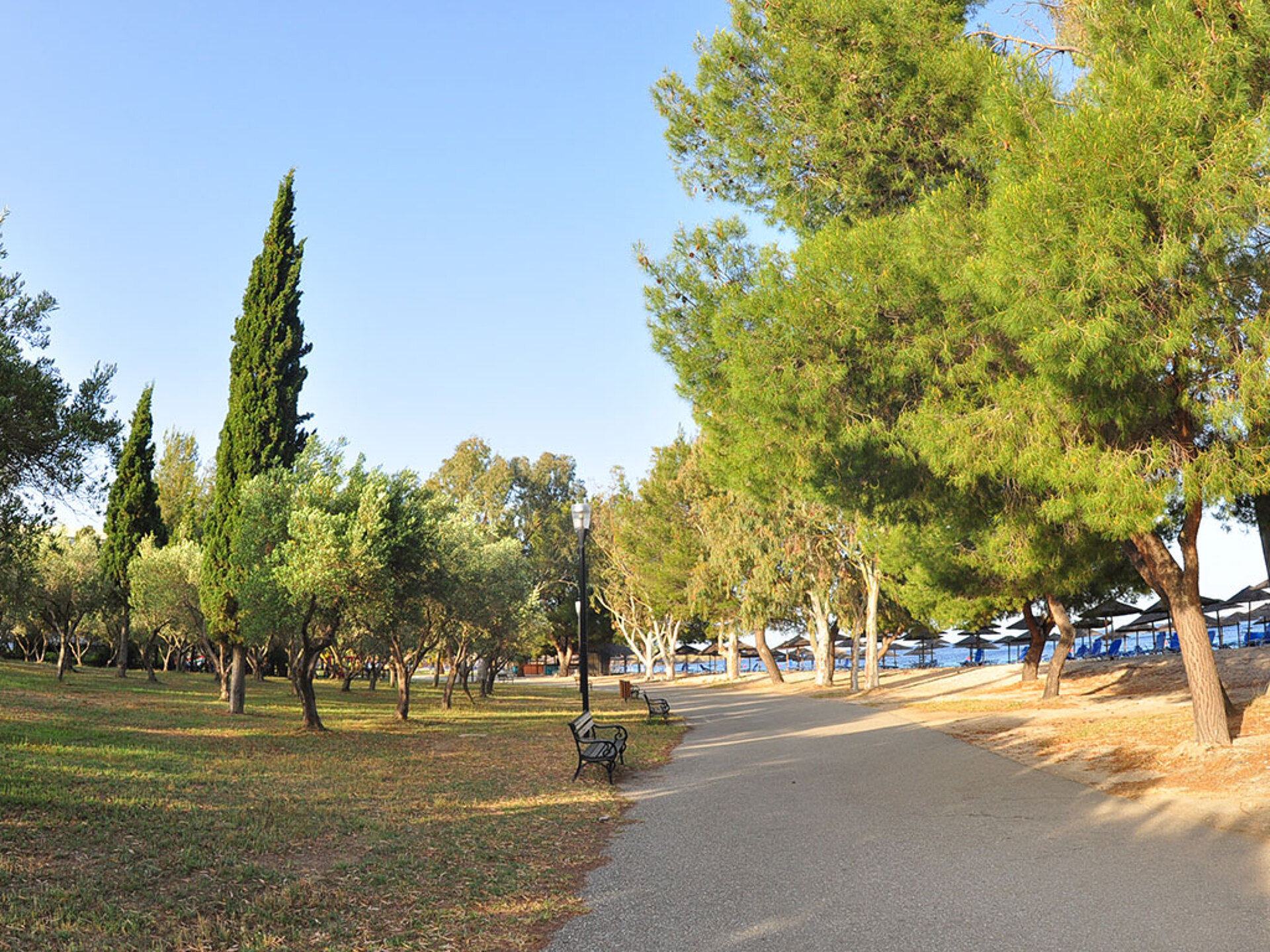 Porto Carras Sithonia 5* 69