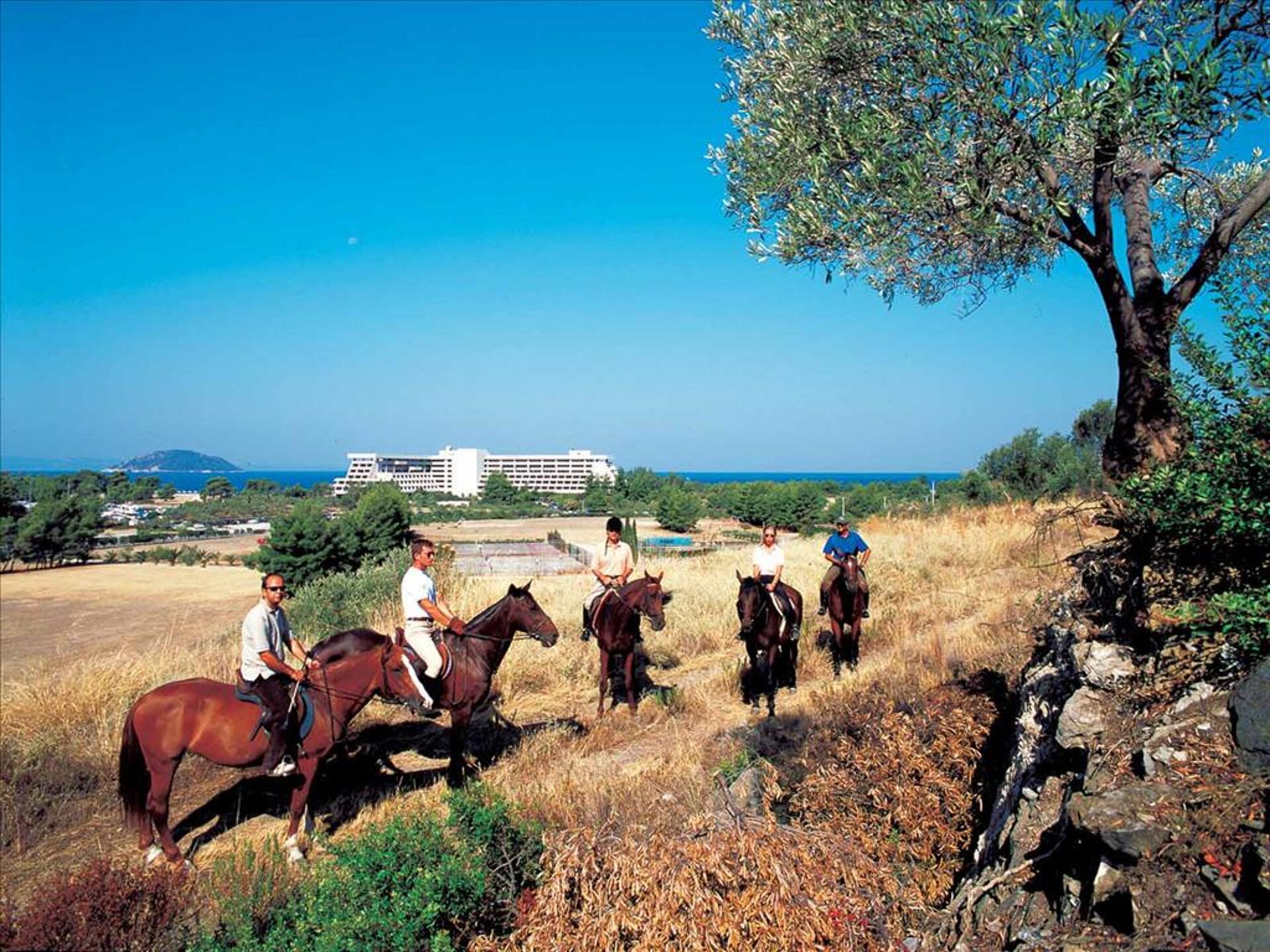 Porto Carras Sithonia 5* 51