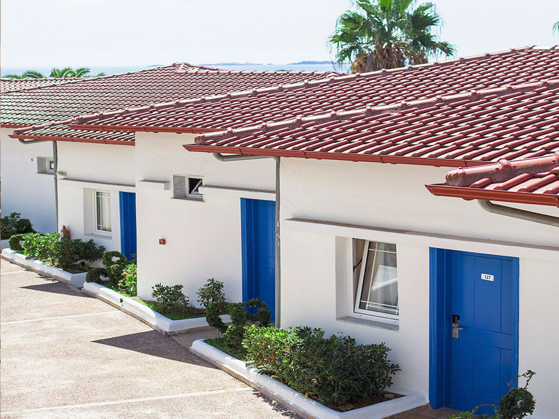 Alexandros Palace Hotel & Suites 5* 14