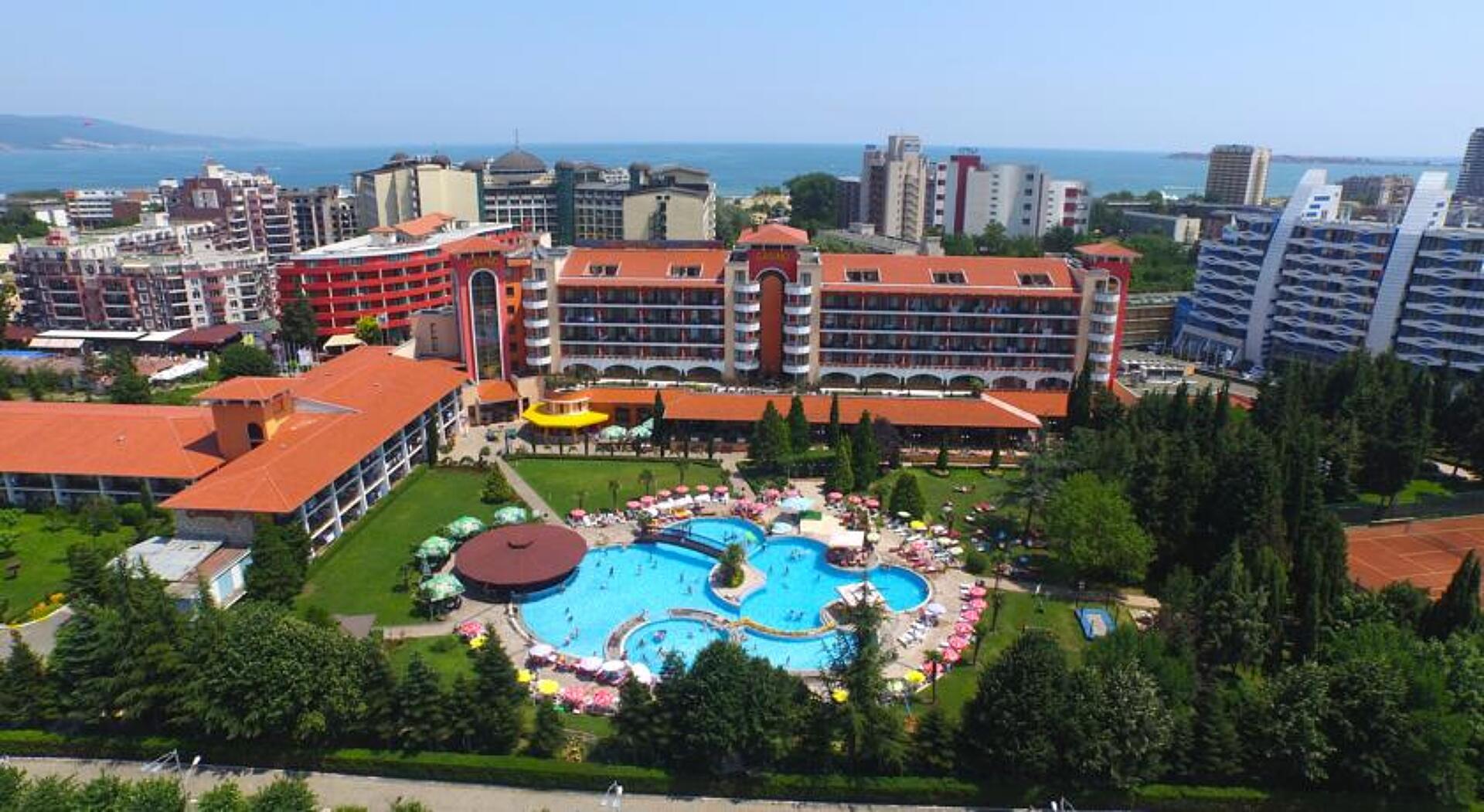 Hrizantema 4* 27