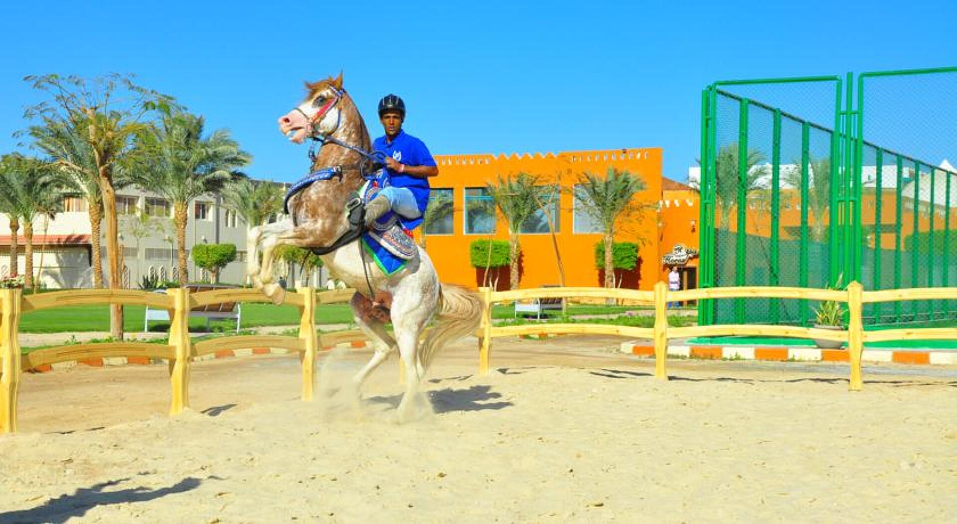 Sunrise Select Garden Beach Resort & Spa 5* 36