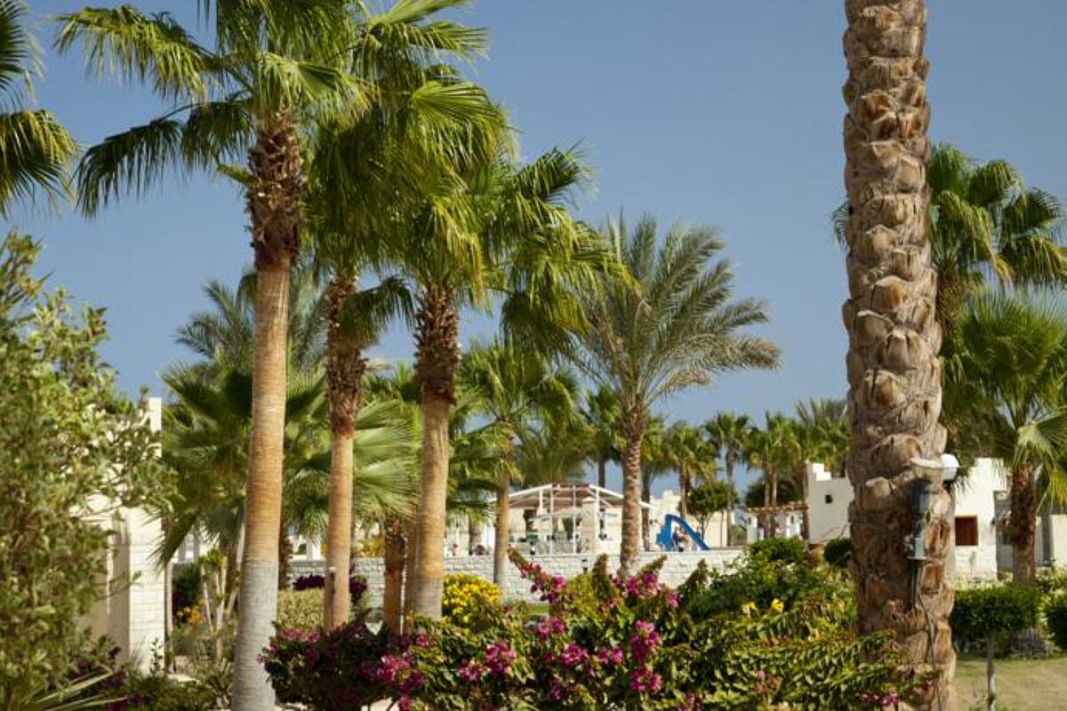 Coral Beach Hotel Hurghada 4* last