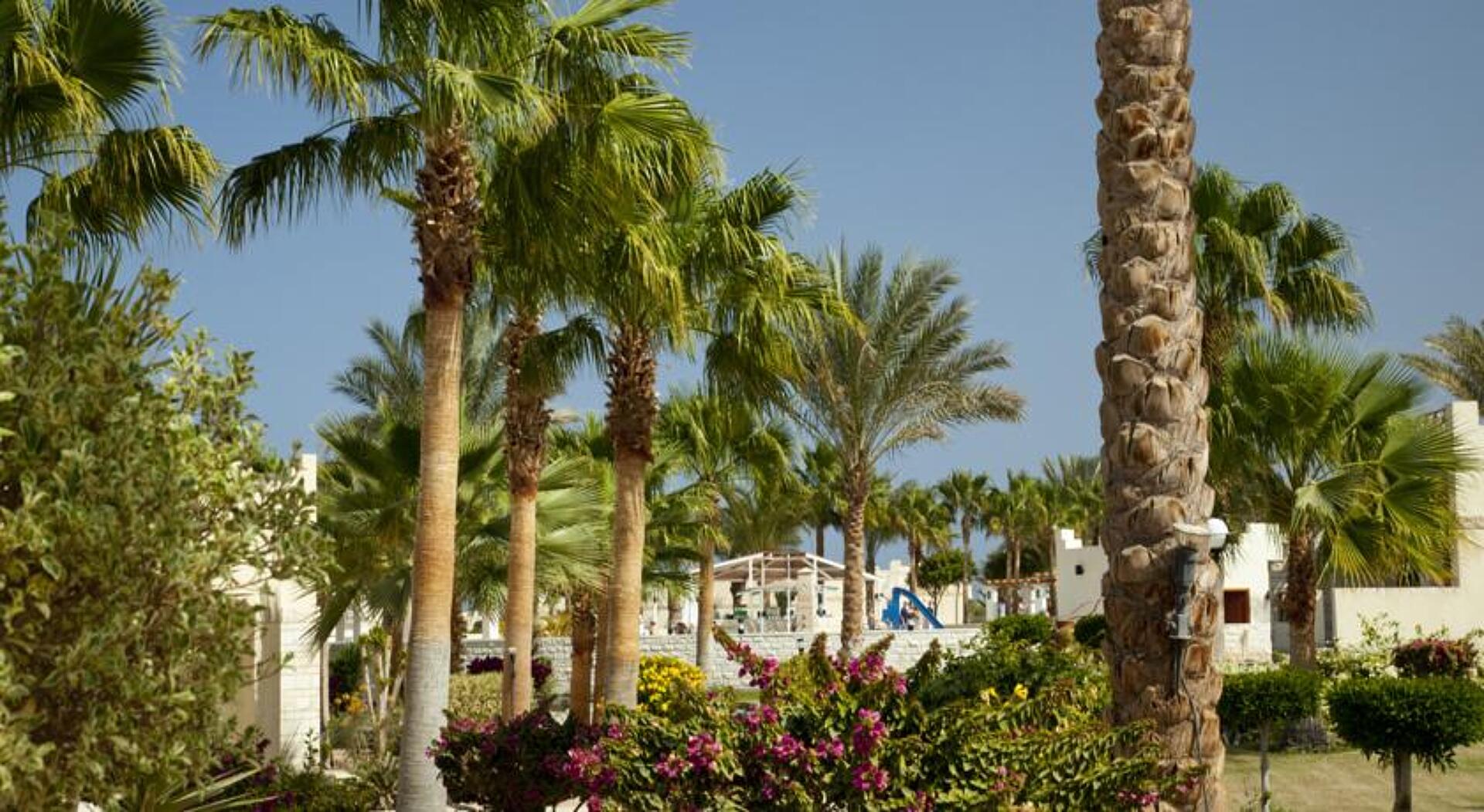 Coral Beach Hotel Hurghada 4* 4
