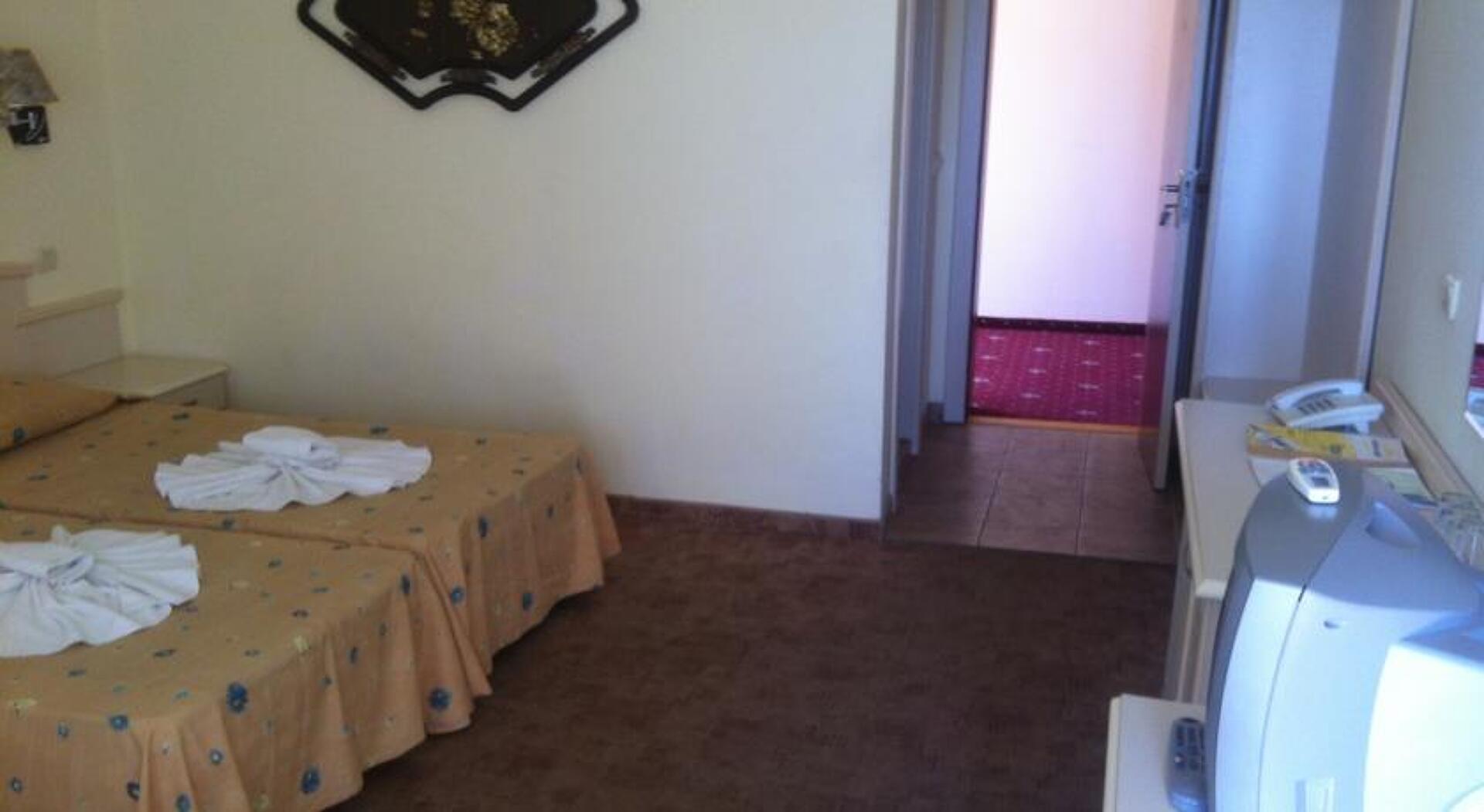 Detelina Hotel 3* 11
