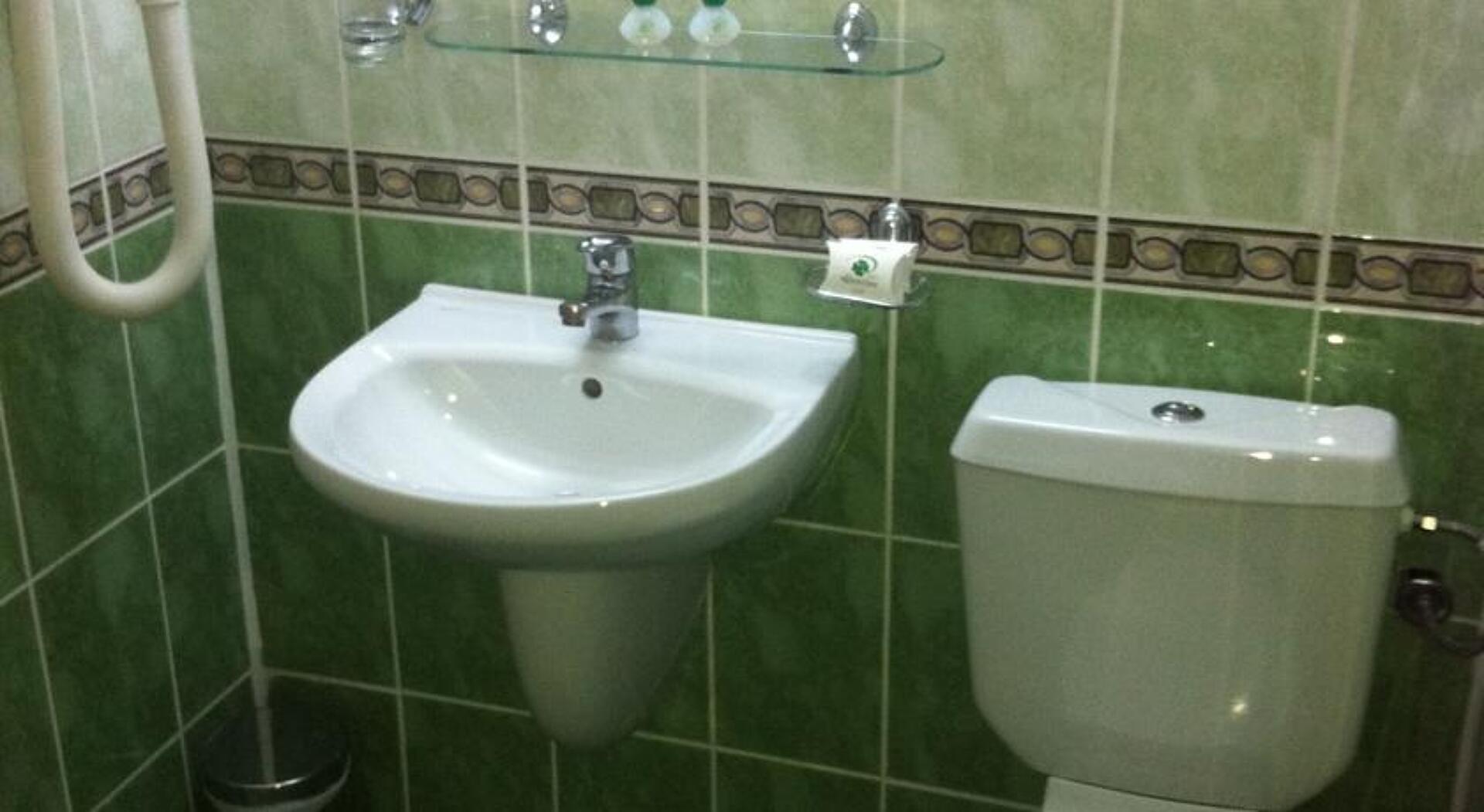 Detelina Hotel 3* 13