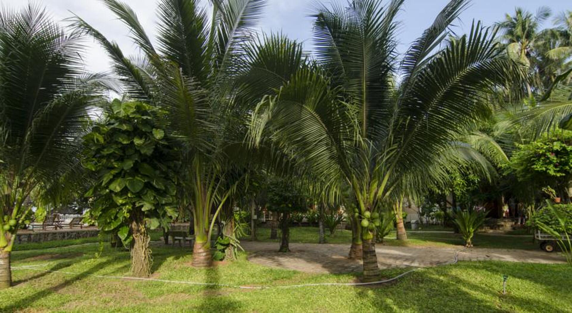 Thai Hoa Resort 3* 20