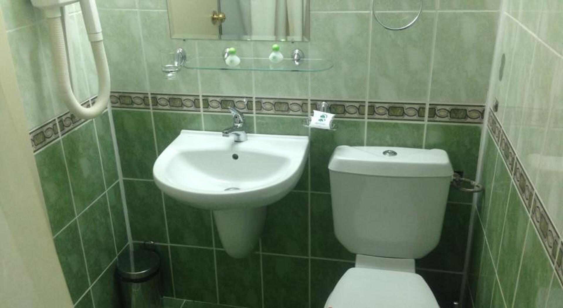 Detelina Hotel 3* 3