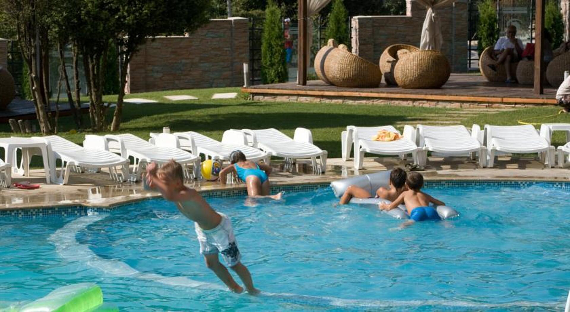 Detelina Hotel 3* 16