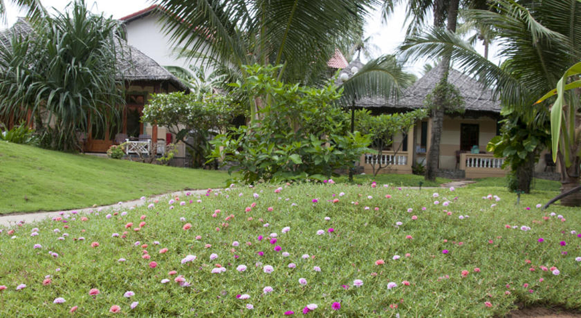 Thai Hoa Resort 3* 13