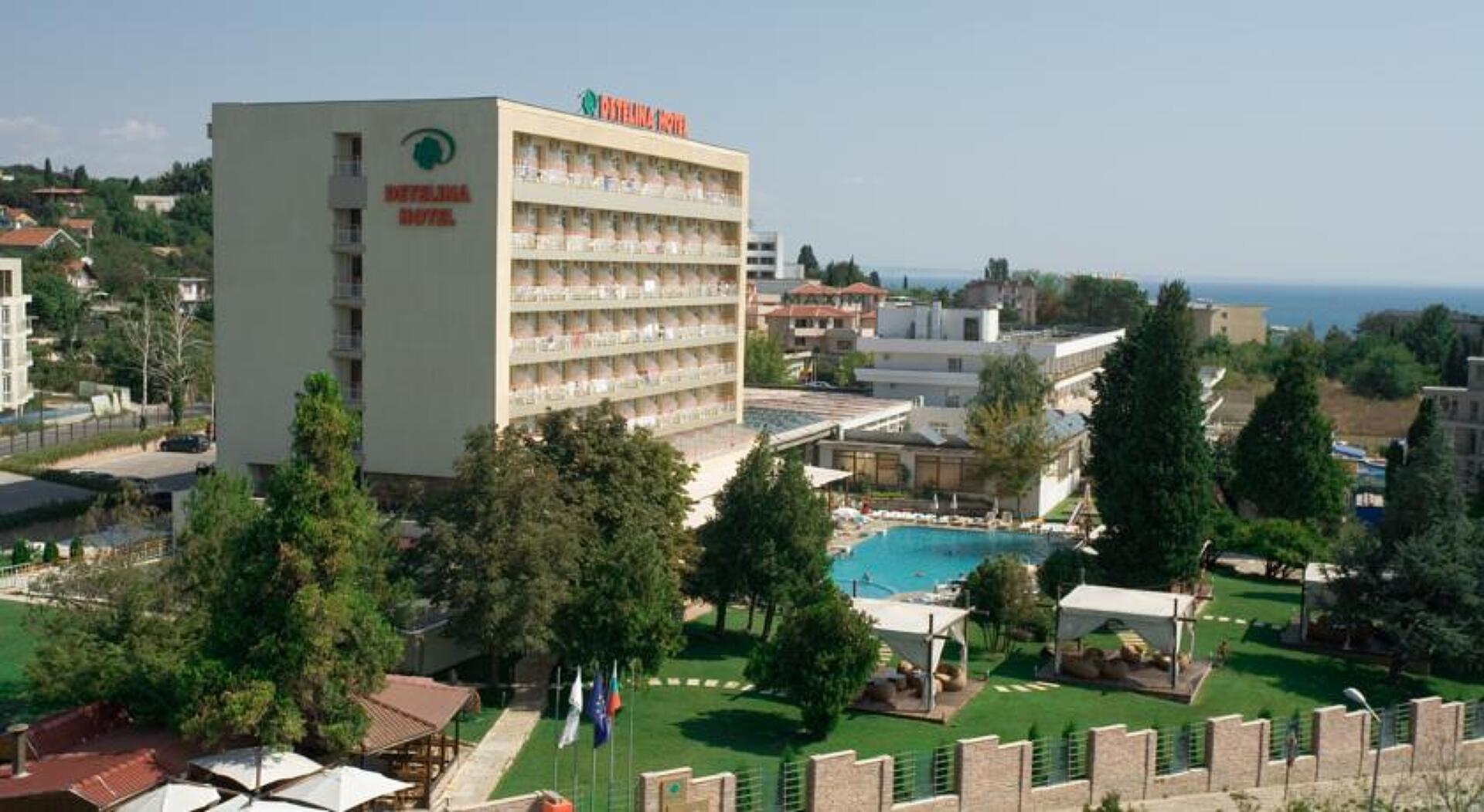 Detelina Hotel 3* 9