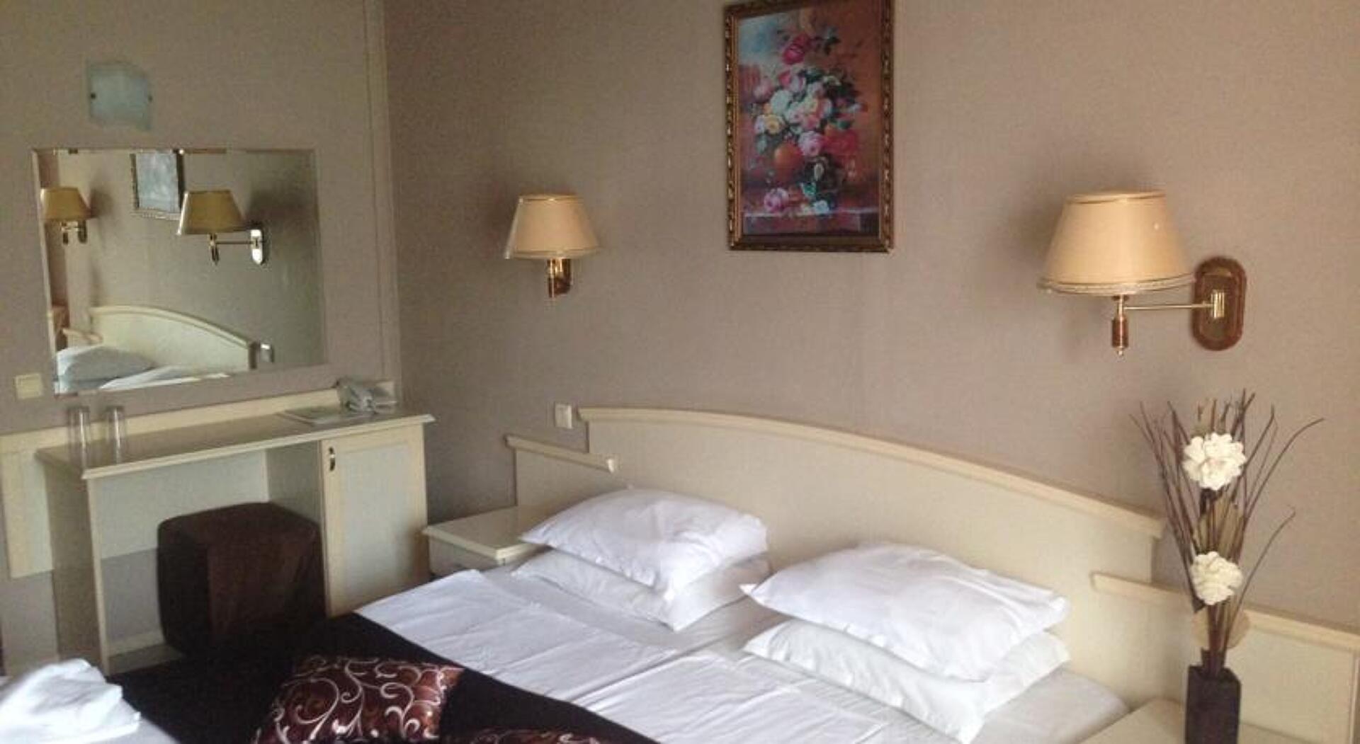Detelina Hotel 3* 1