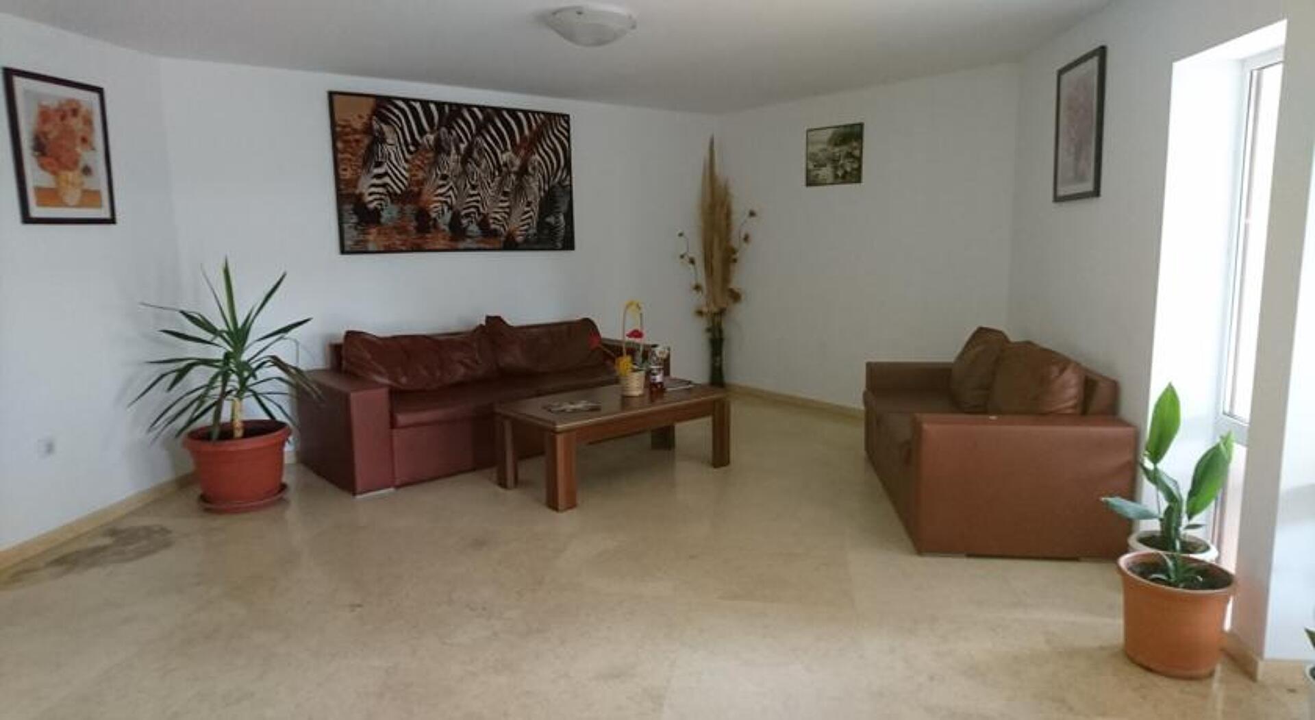 Royal Palm 3* 20