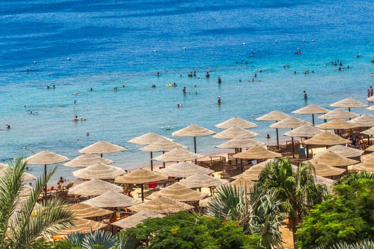 The Makadi Spa Hotel 5* 0