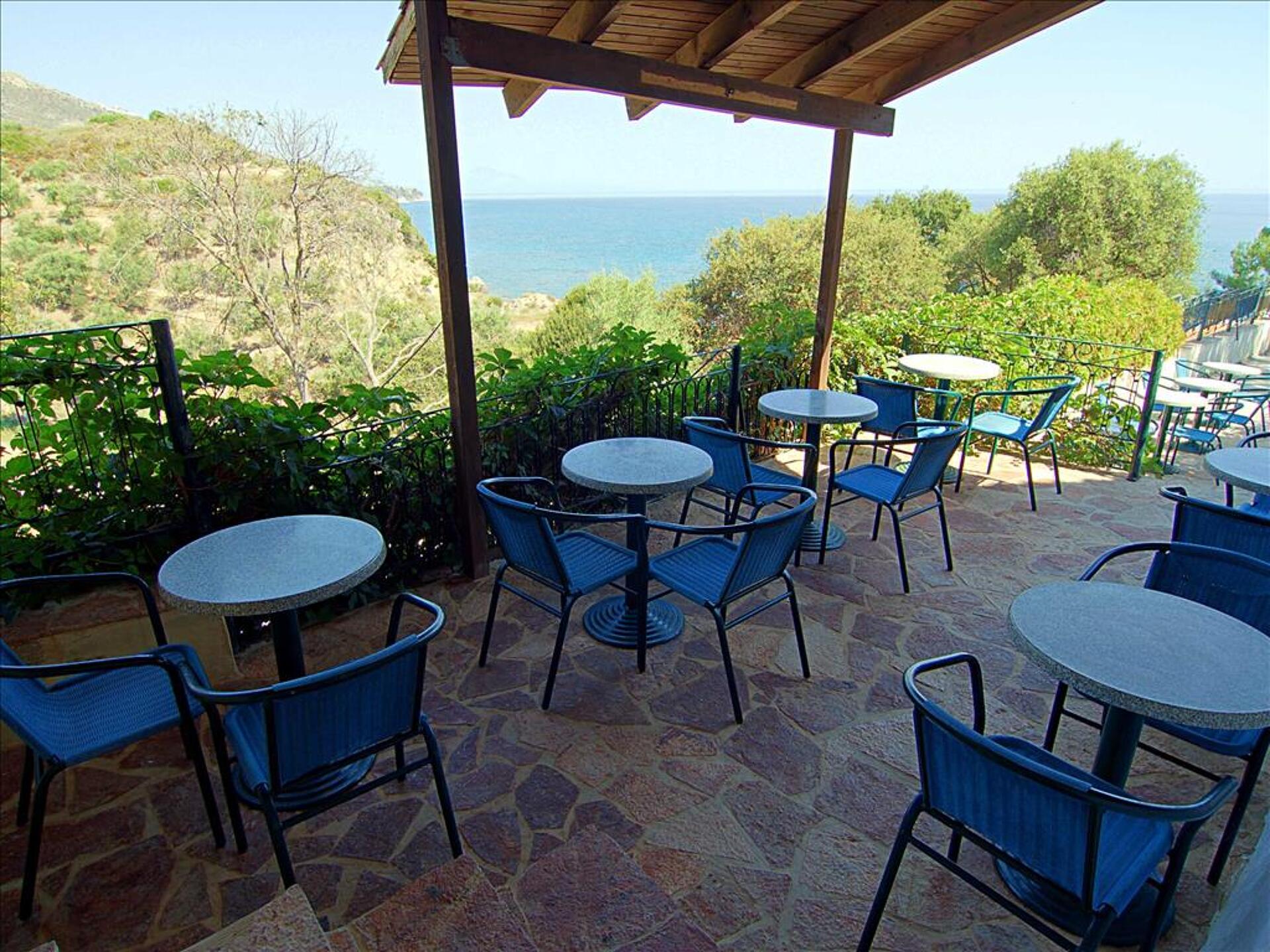 Celia Apartments 2* 7