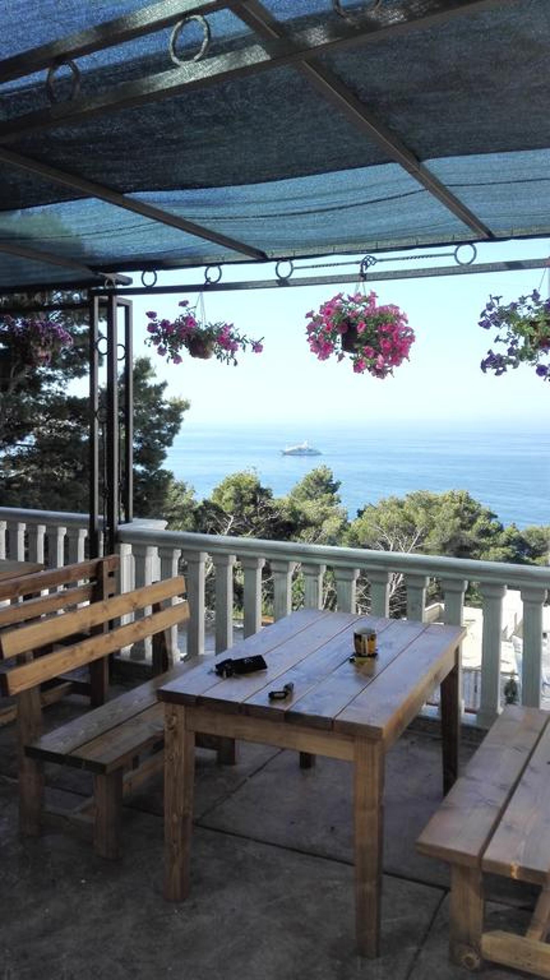 Villa Magnolija 3* 7