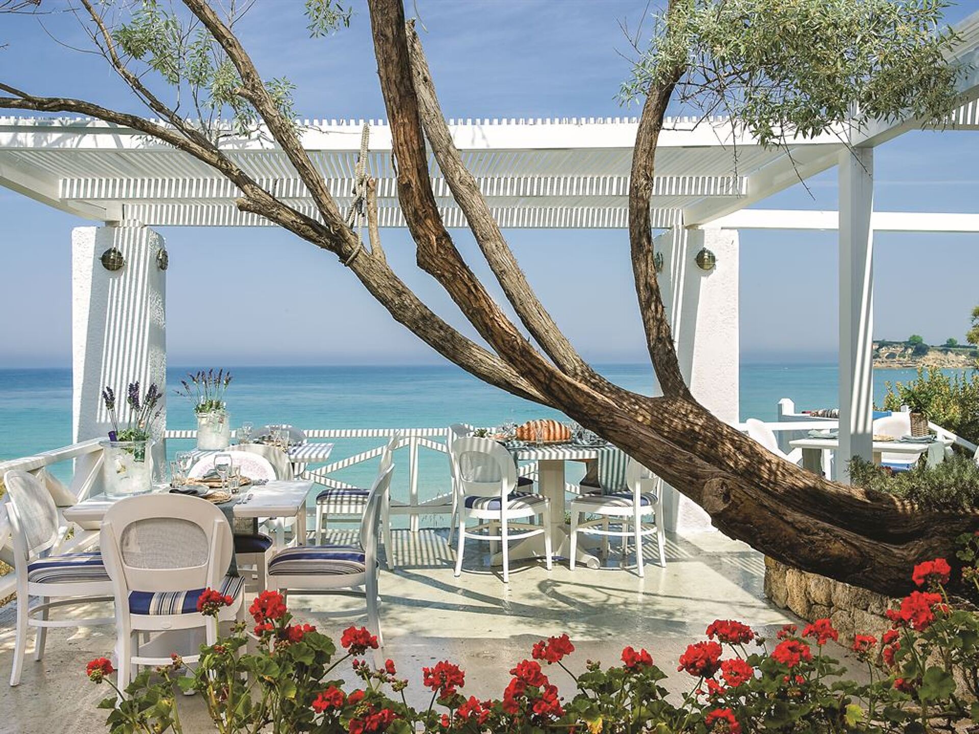 Grecotel Rhodos Royal 4* 6