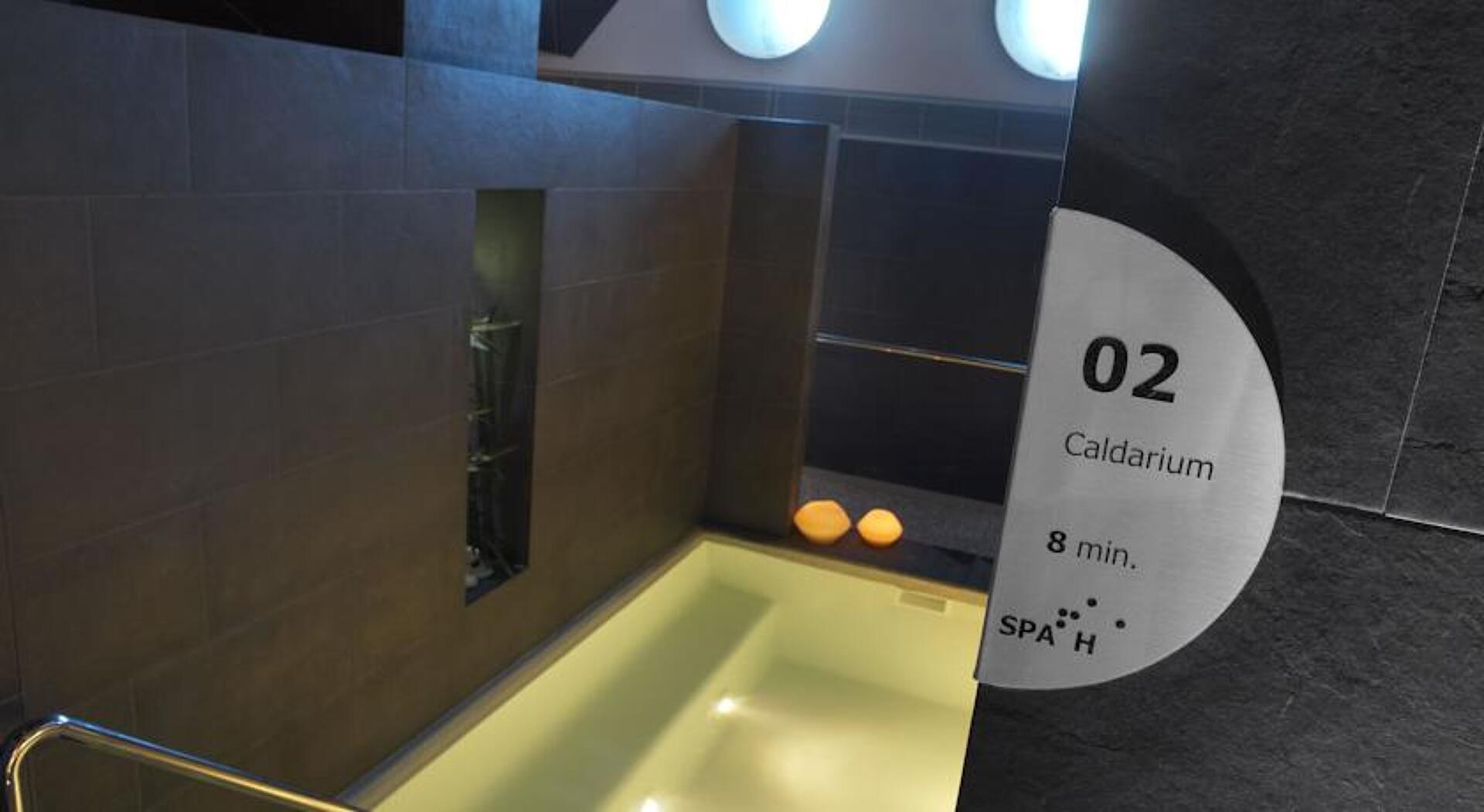 Fergus Style Plaza Paris Spa 4* 33