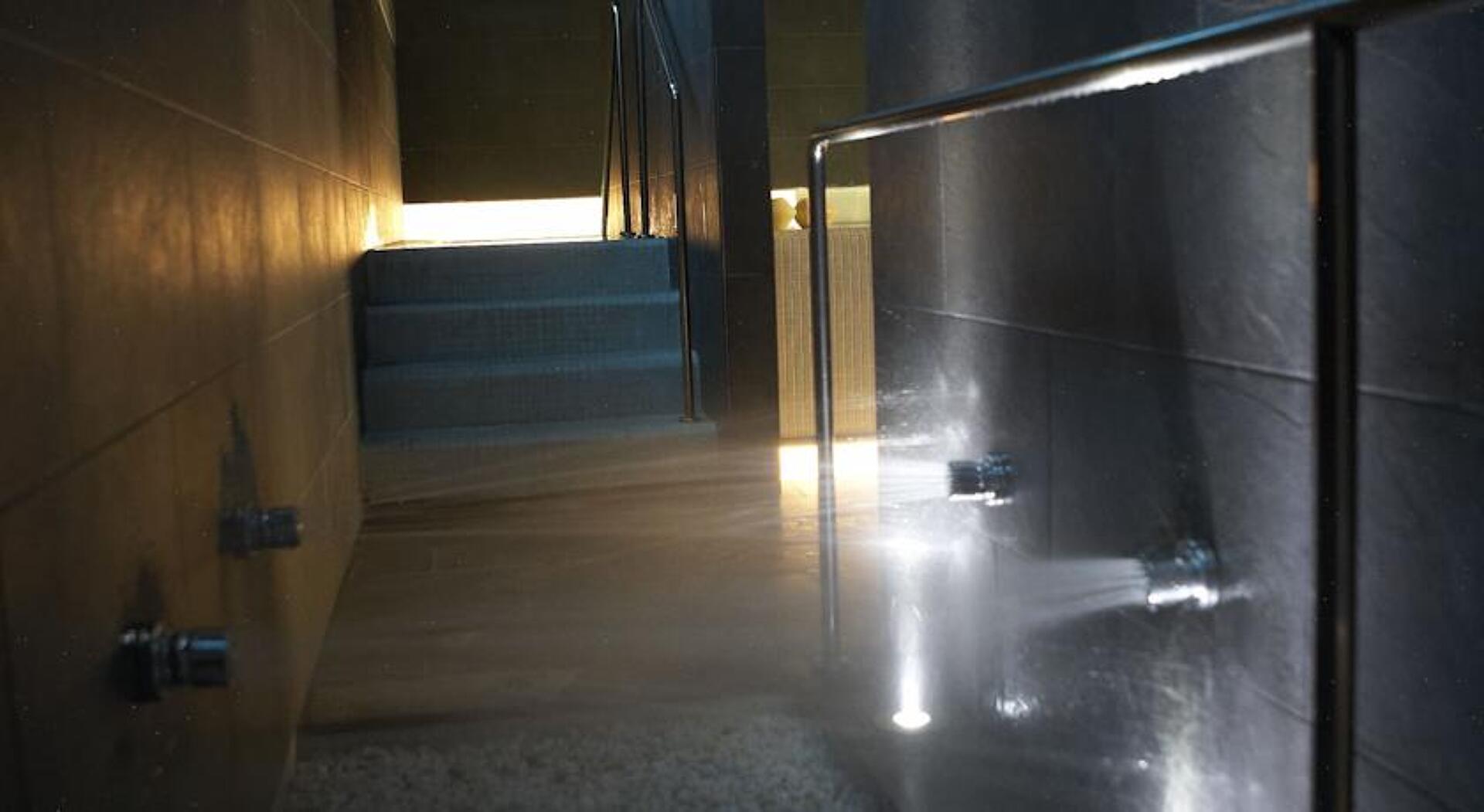 Fergus Style Plaza Paris Spa 4* 37