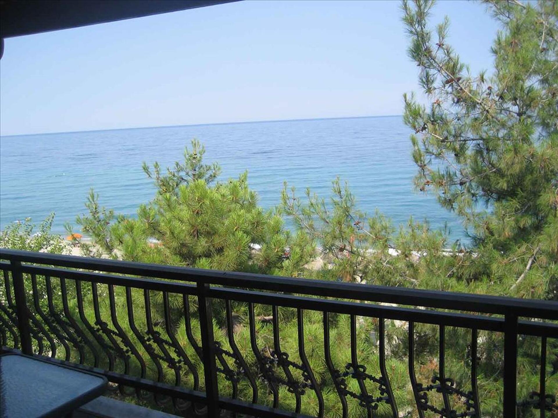 Oceana 2* 3