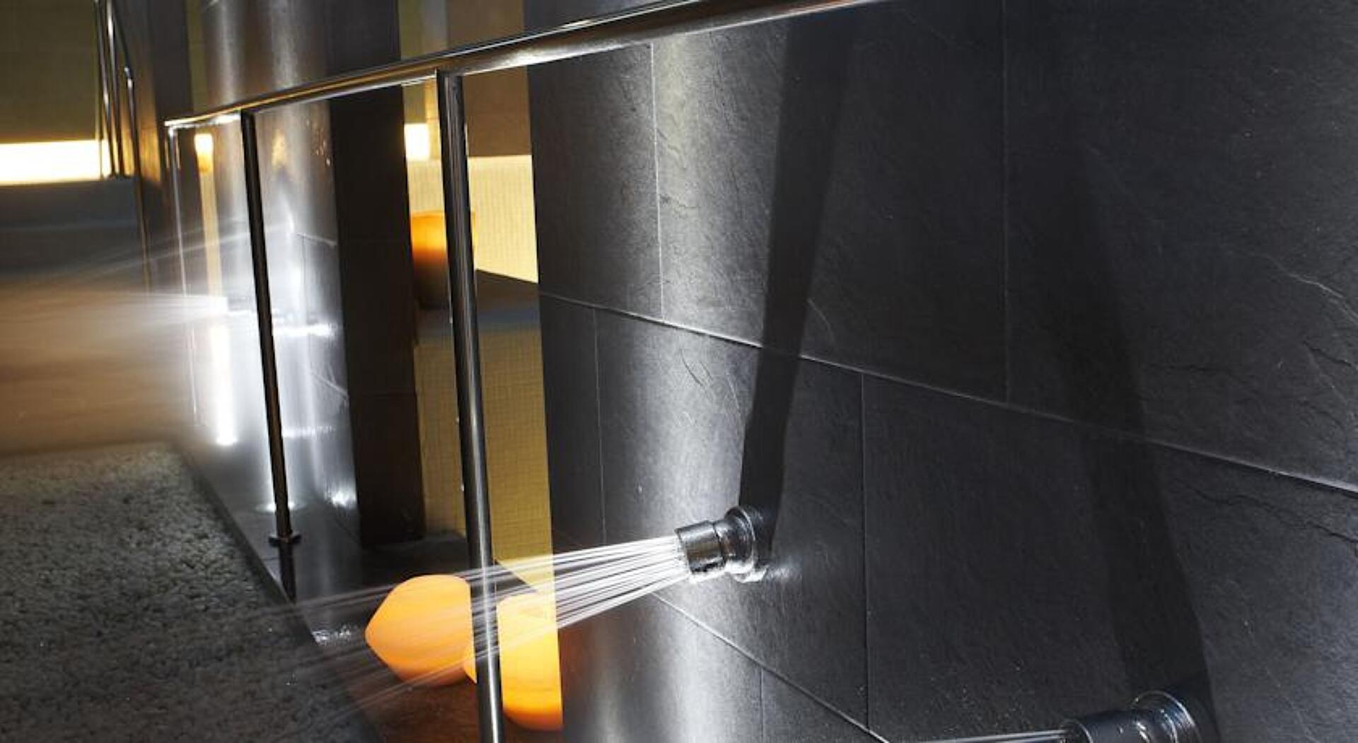 Fergus Style Plaza Paris Spa 4* 32