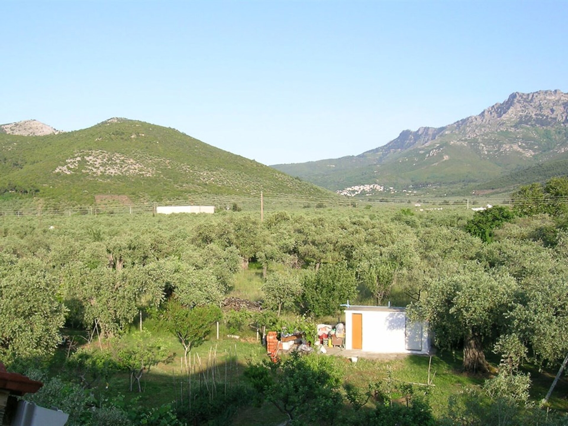 Filippos 3* 5