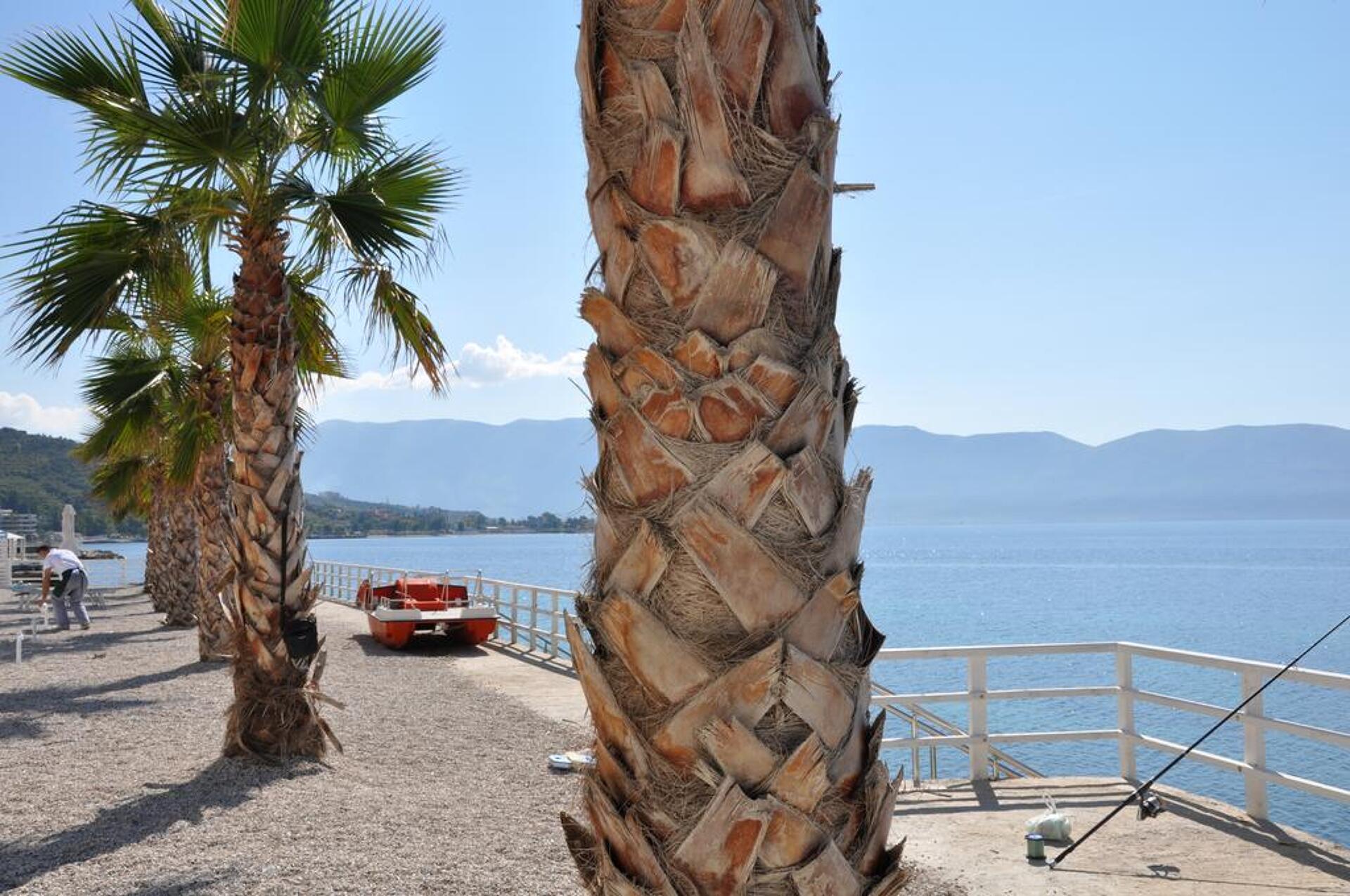 Coral Hotel & Resort 4* 14