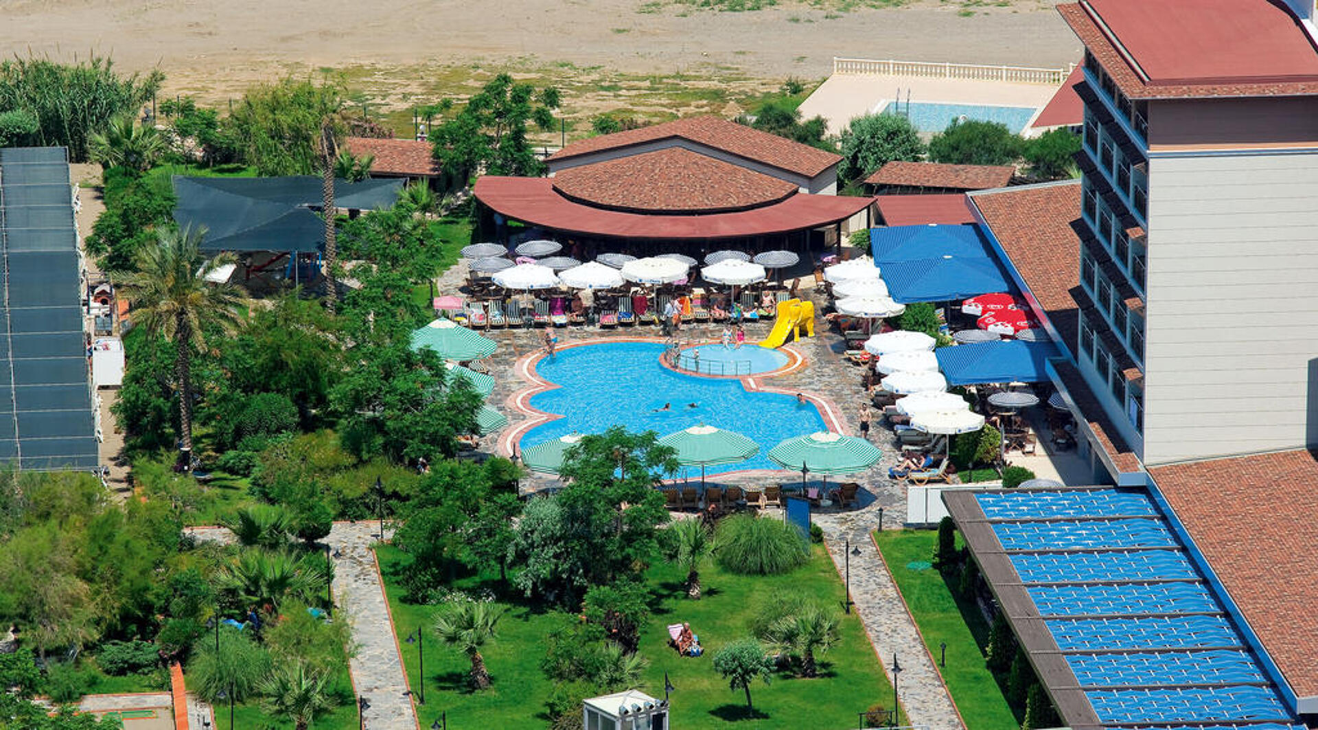 Club Cactus Paradise 5