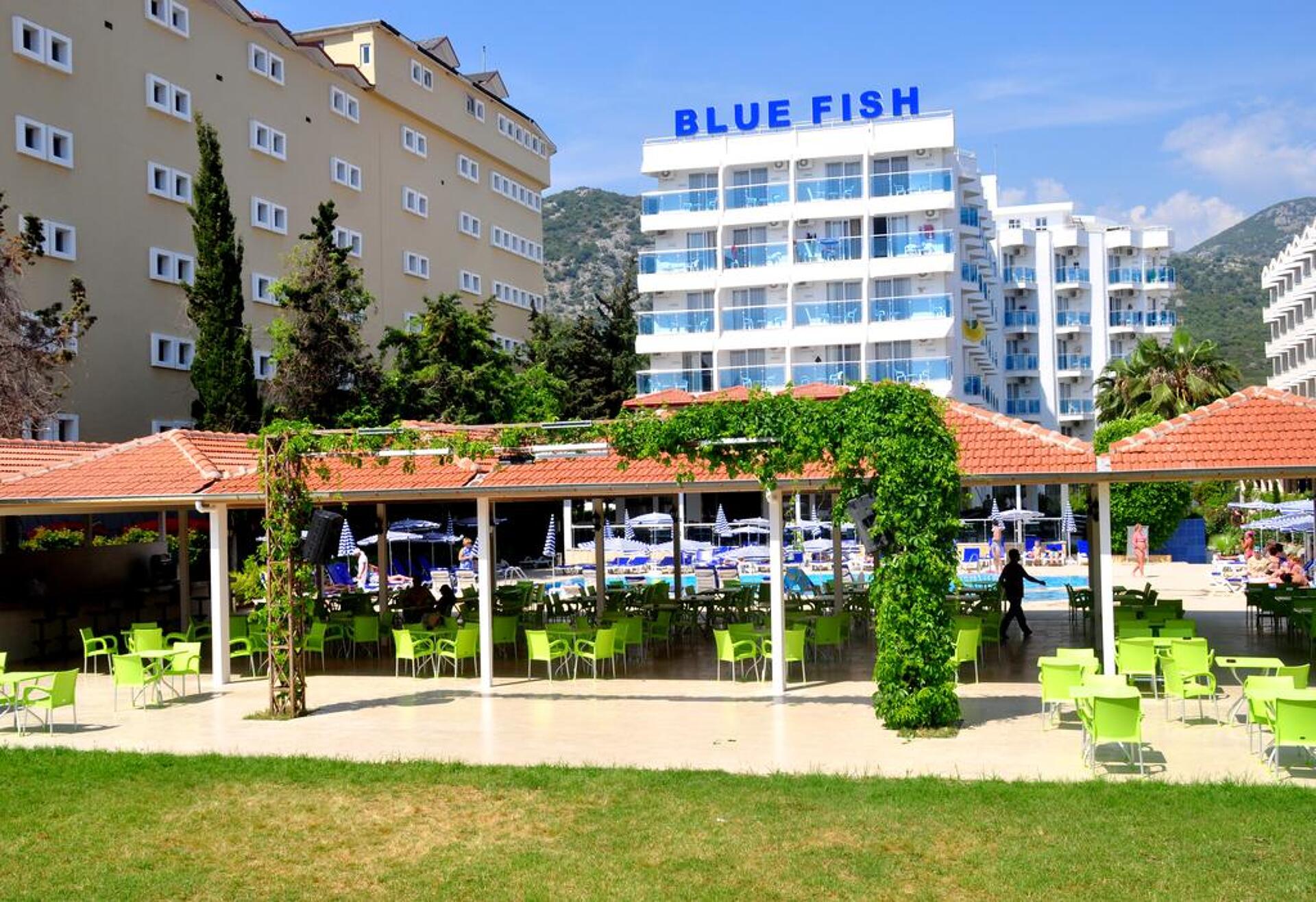 Blue Fish 4* 1