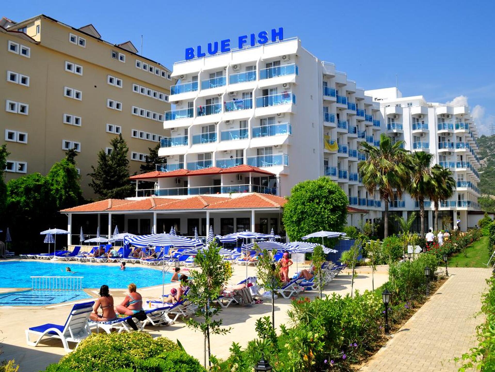 Blue Fish 4* 0