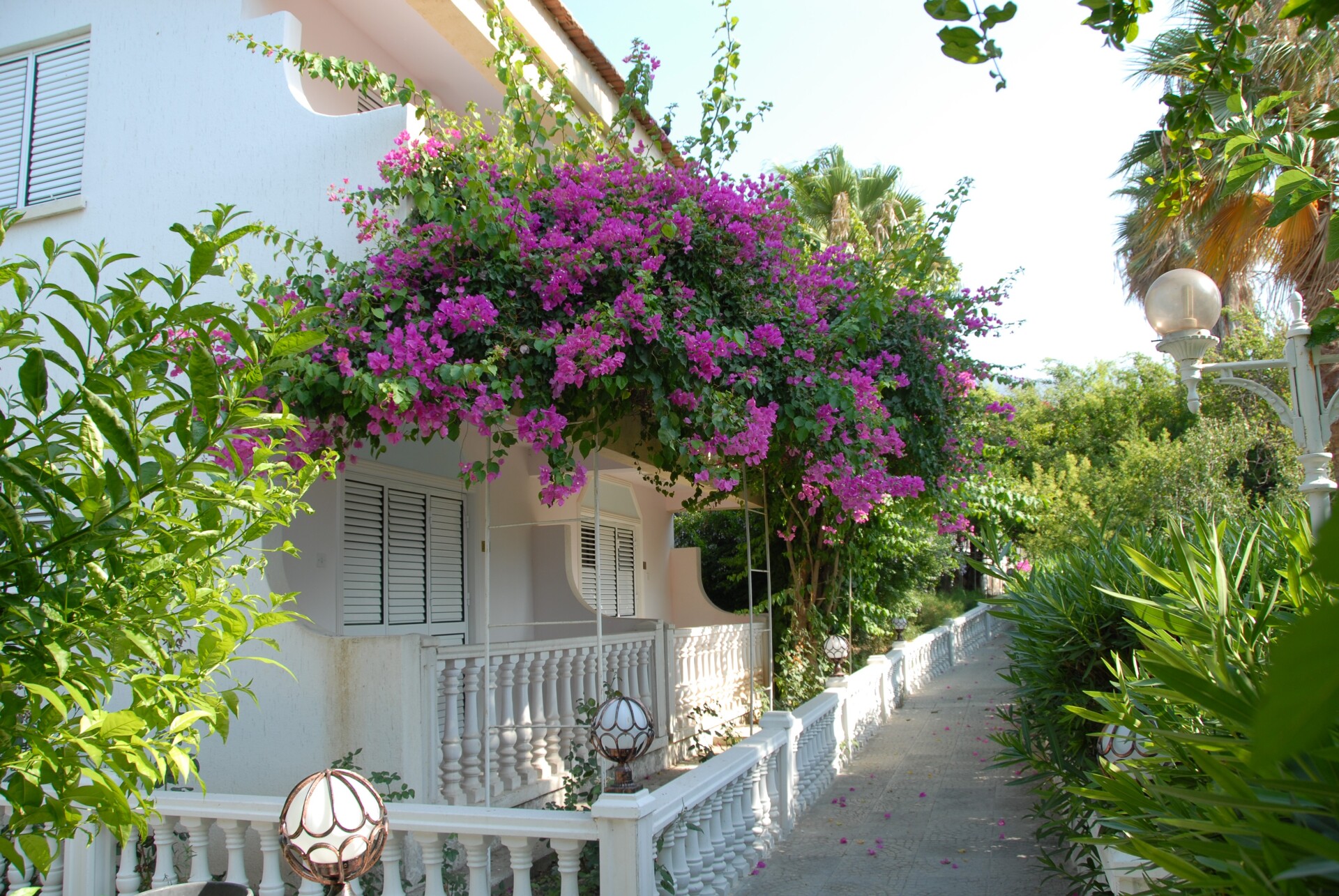 Riverside Garden Resort 4* 2
