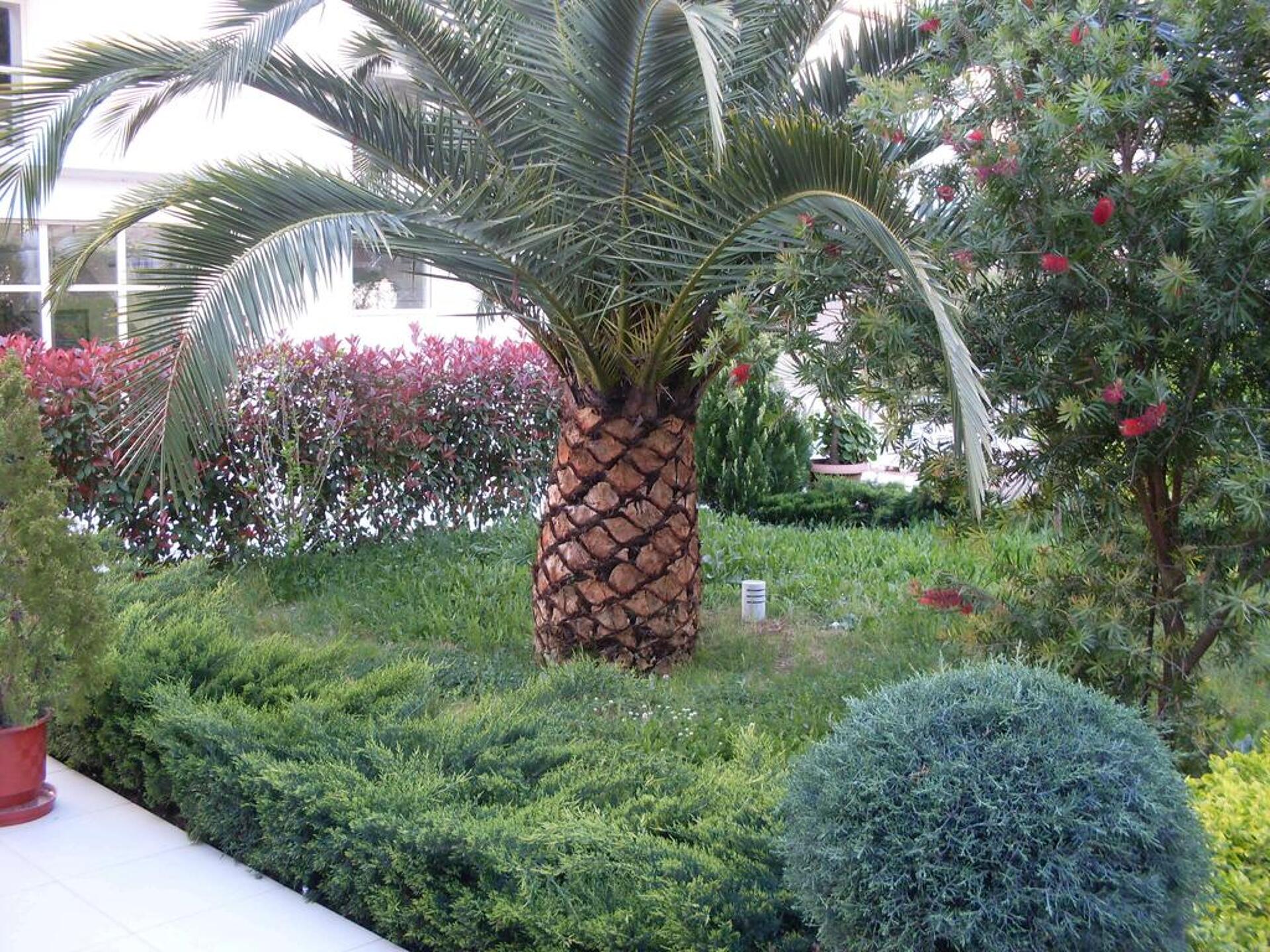 Vila Duraku 4* 6