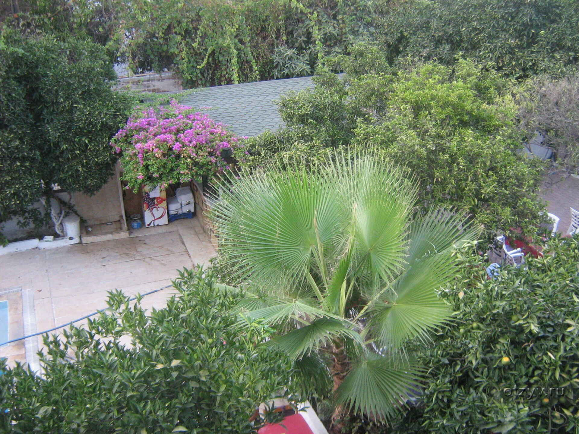 Ipsos Hotel 3* 5