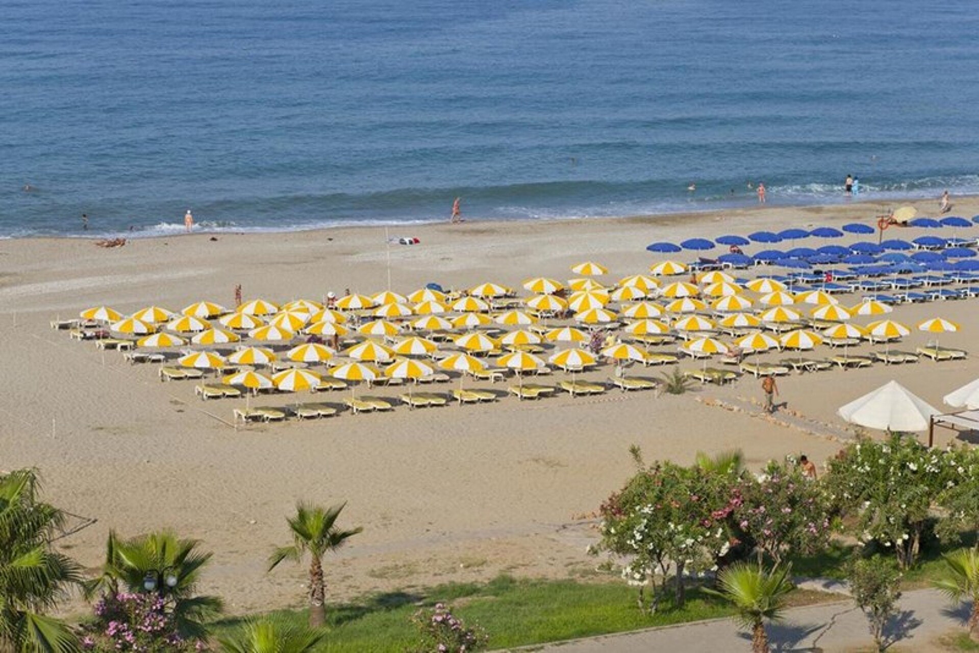 Monte Carlo Hotel 3