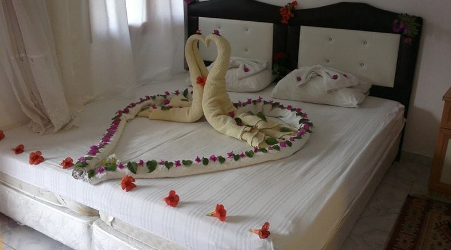 Ipsos Hotel 3* 3