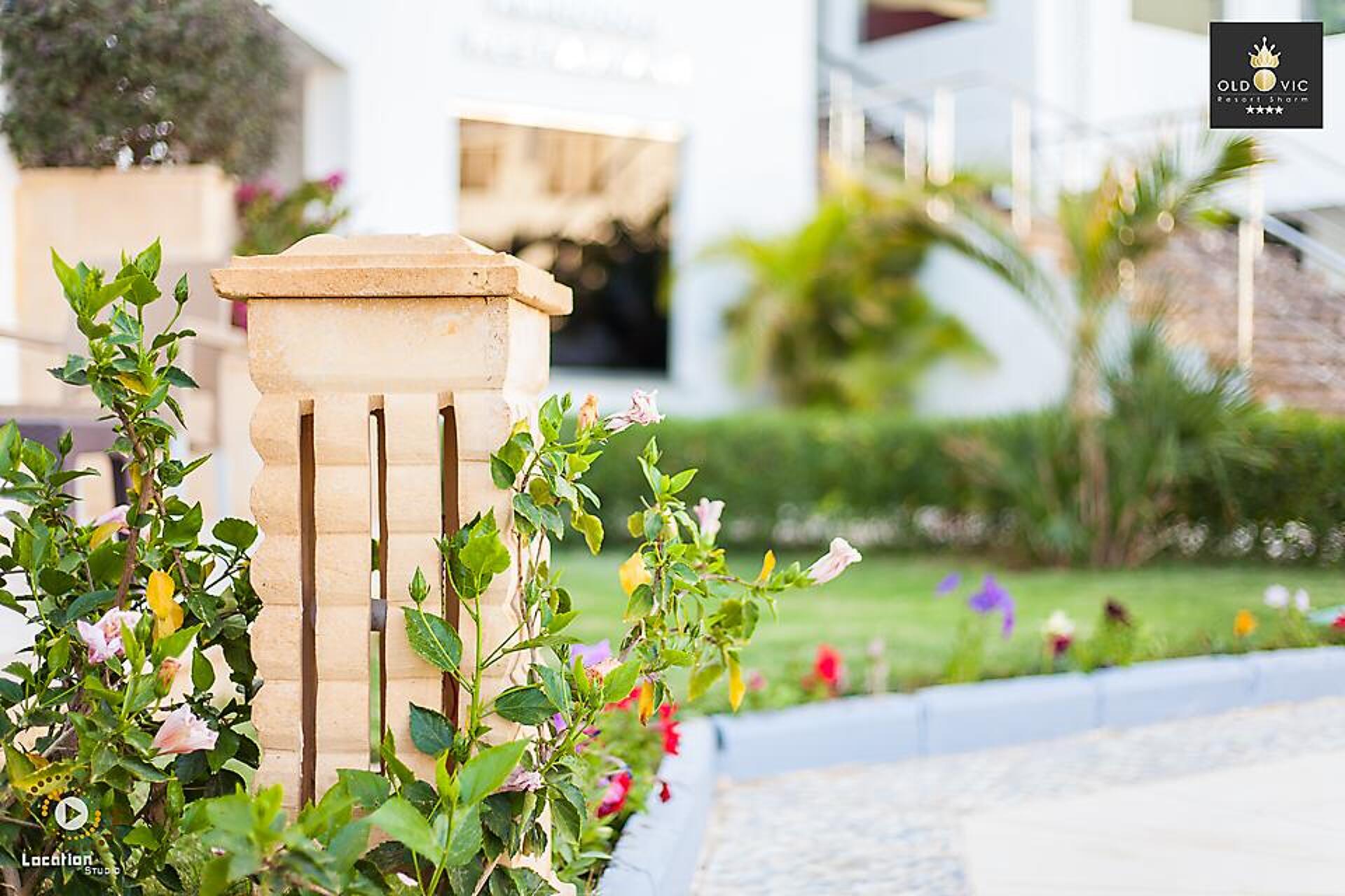 Old Vic Sharm Resort 4* 23