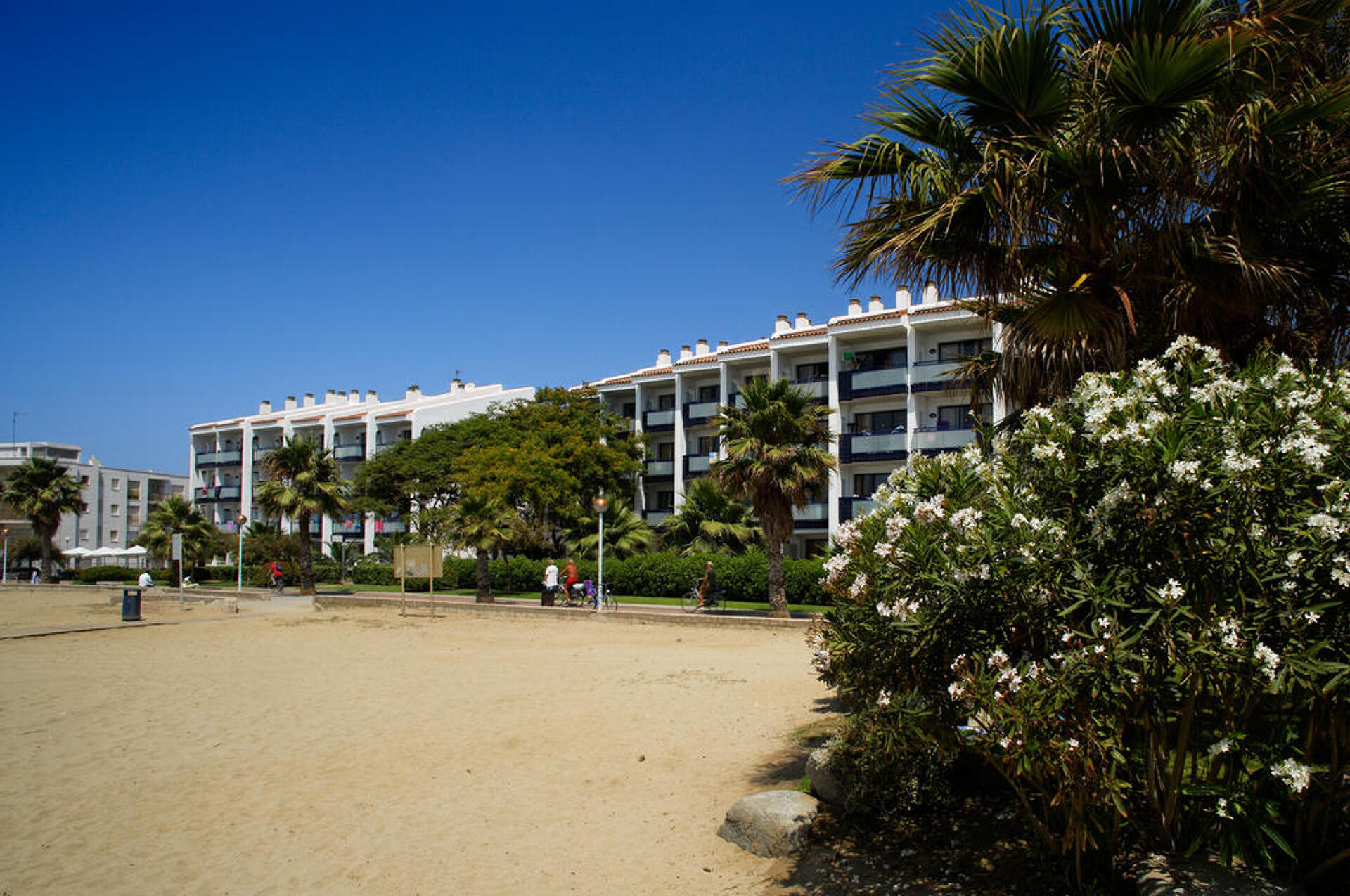Pins Platja Aparthotel 3* 0