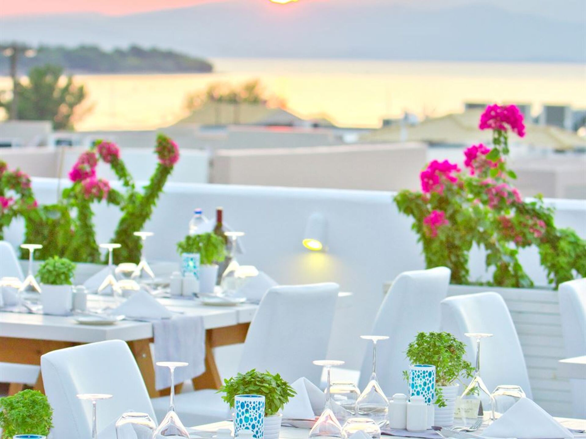 Alea Hotel & Suites 4* 12