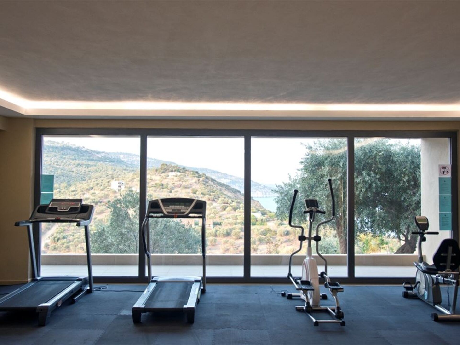 Aeolis Thassos Palace Hotel 4* 7