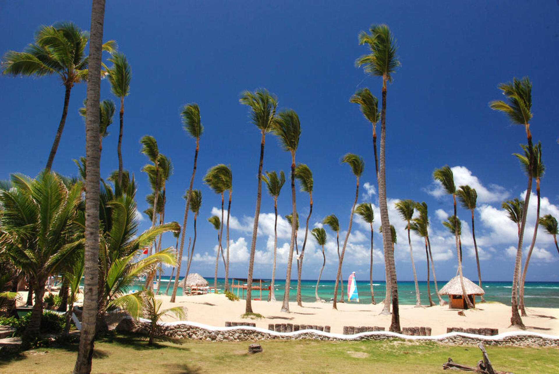 Sirenis Punta Cana Resort Casino & Aquagames 5* 1