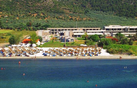 Alea Hotel & Suites