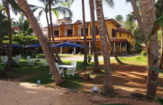 Crazy Coconut Villa