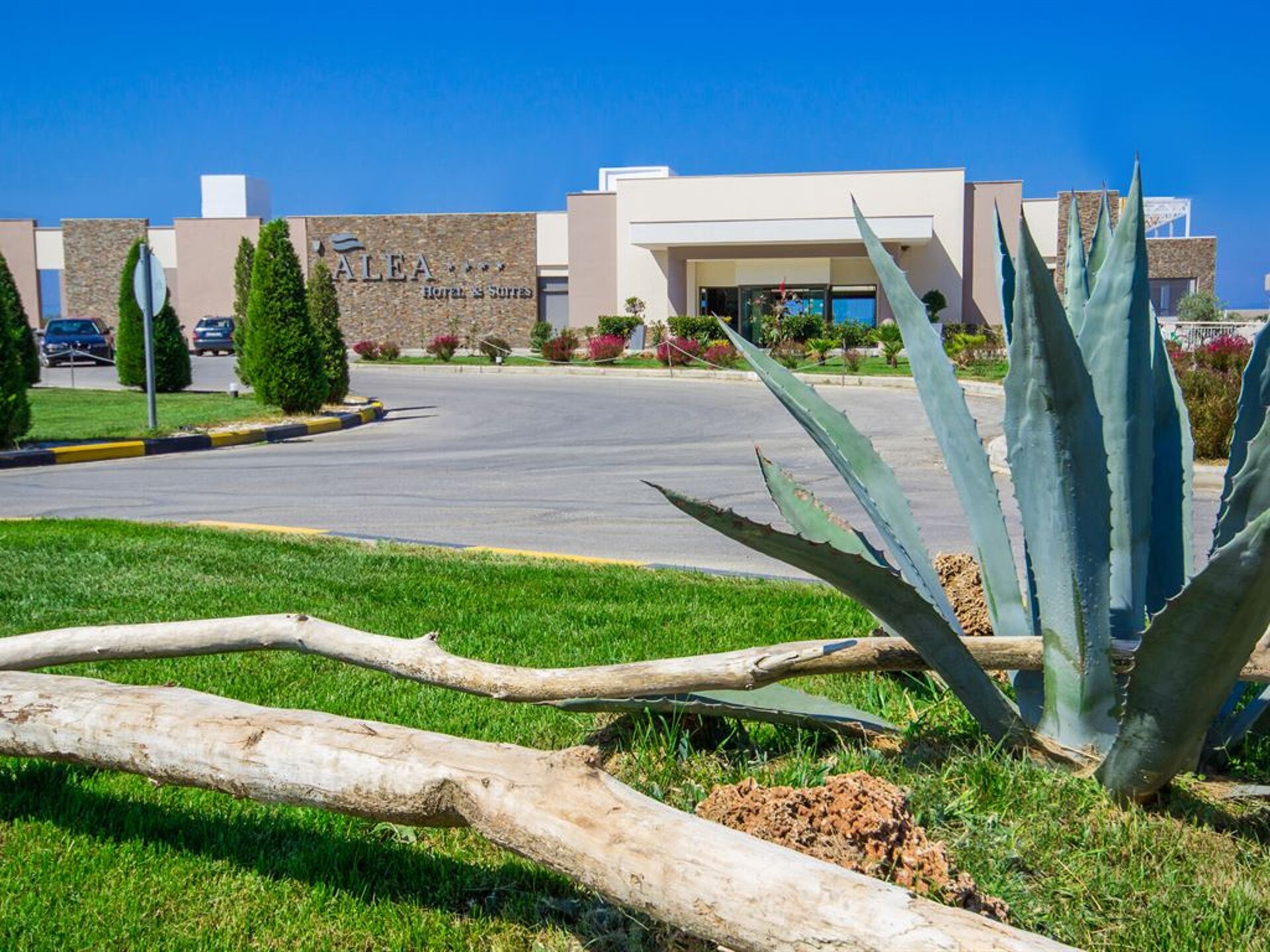 Alea Hotel & Suites 4* 6